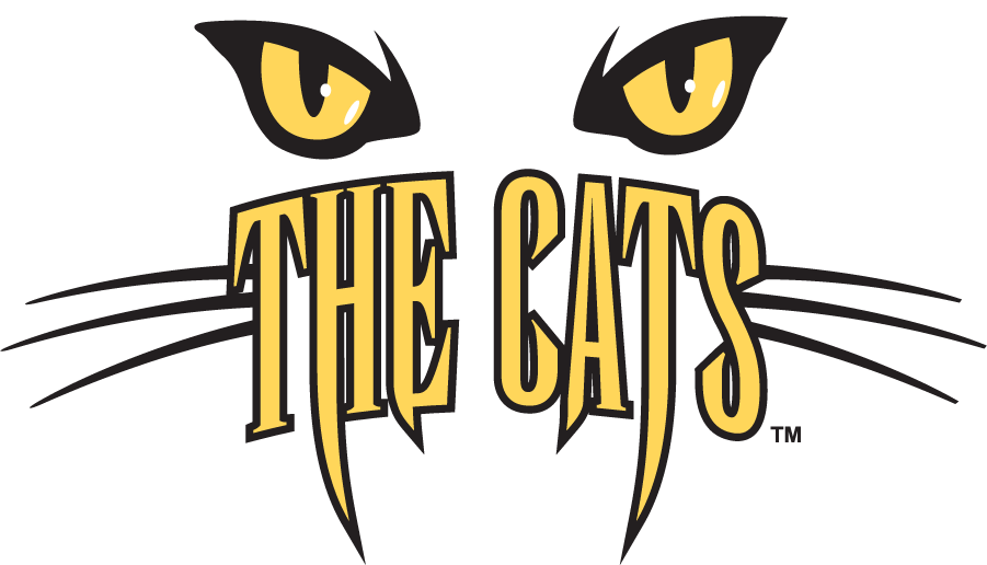 Western Carolina Catamounts 1996-2003 Secondary Logo DIY iron on transfer (heat transfer)